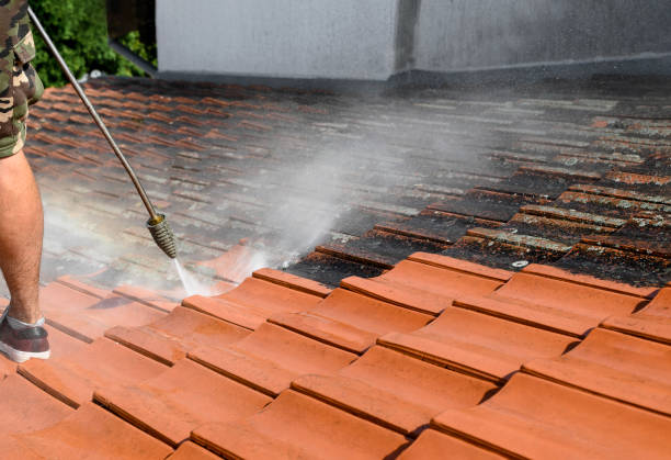 Best Best Pressure Washing Companies  in Churchill, PA